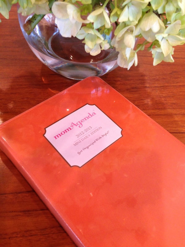 momAgenda day planner review momAgenda day planner review